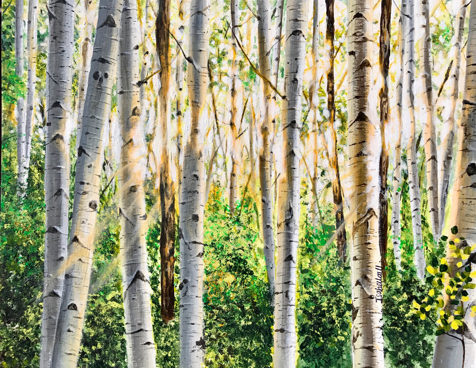 Aspen trees artwork