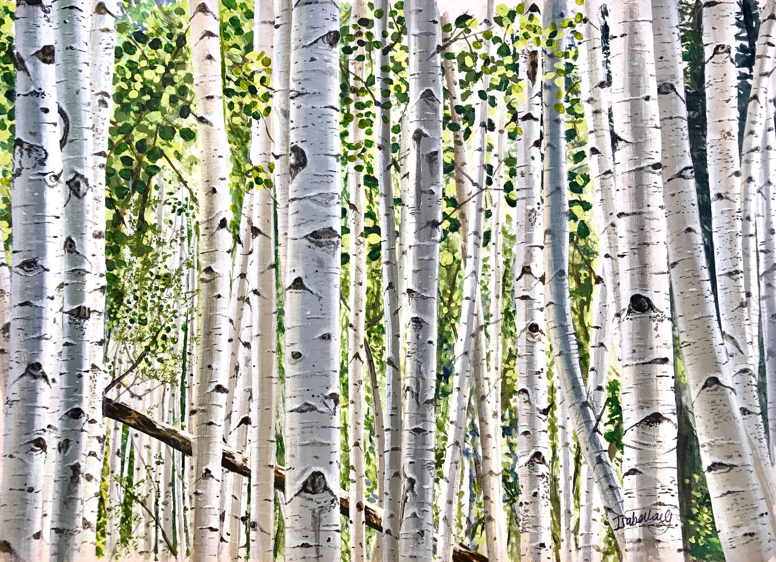 Aspen trees artwork