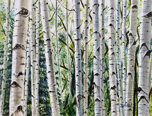 Aspen trees artwork